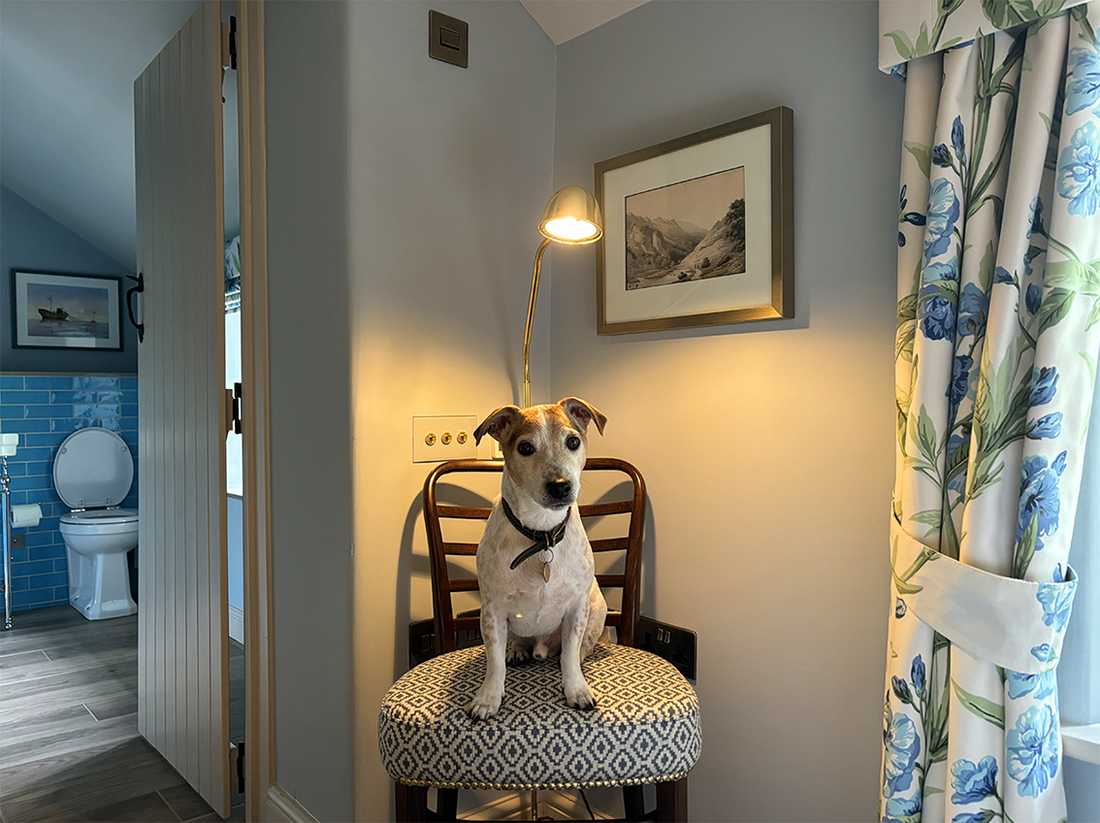 Stonelow Cottage: Derbyshire’s Top Luxury Dog-Friendly Retreat in Scenic Countryside