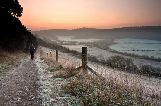 Top 5 Best Boxing Day Walks