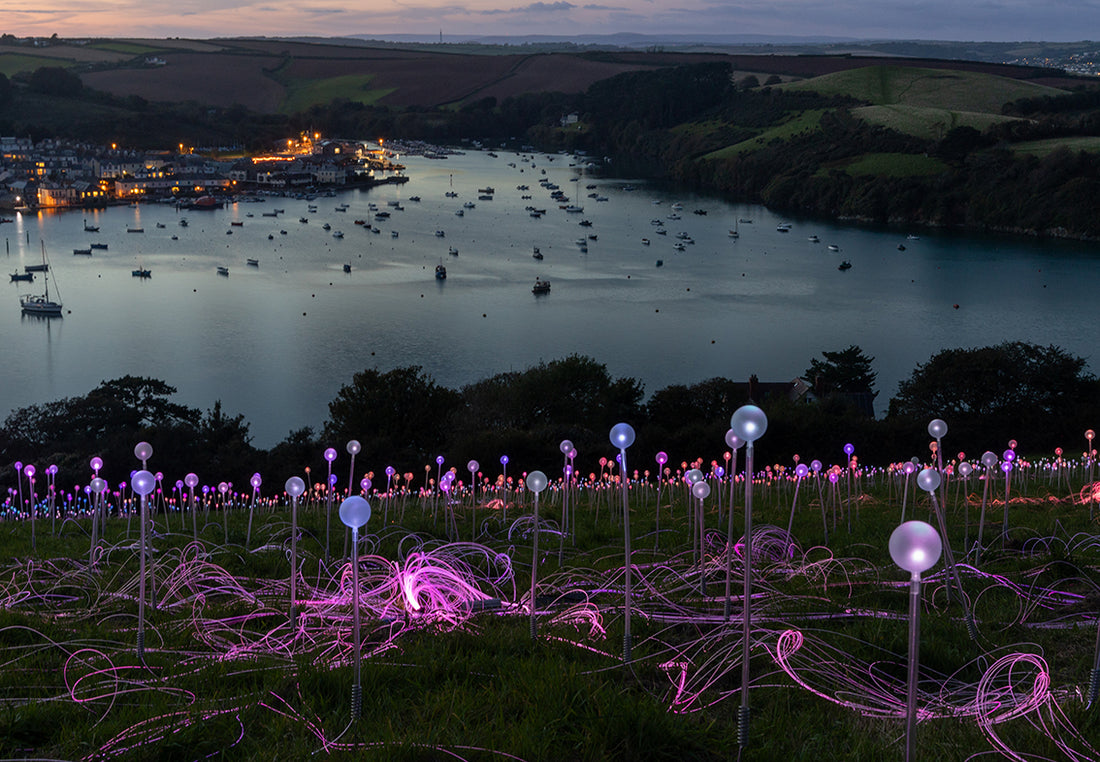 The Salcombe Field of Light: An Immersive Art Experience Illuminating Devon’s Coastline